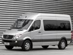 Mercedes-Benz Sprinter 2500 Passenger Van 2006 года